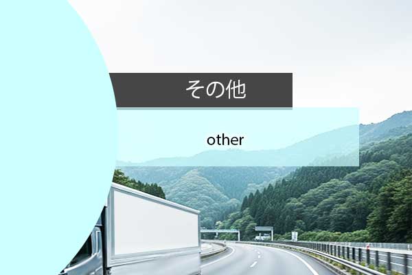 その他